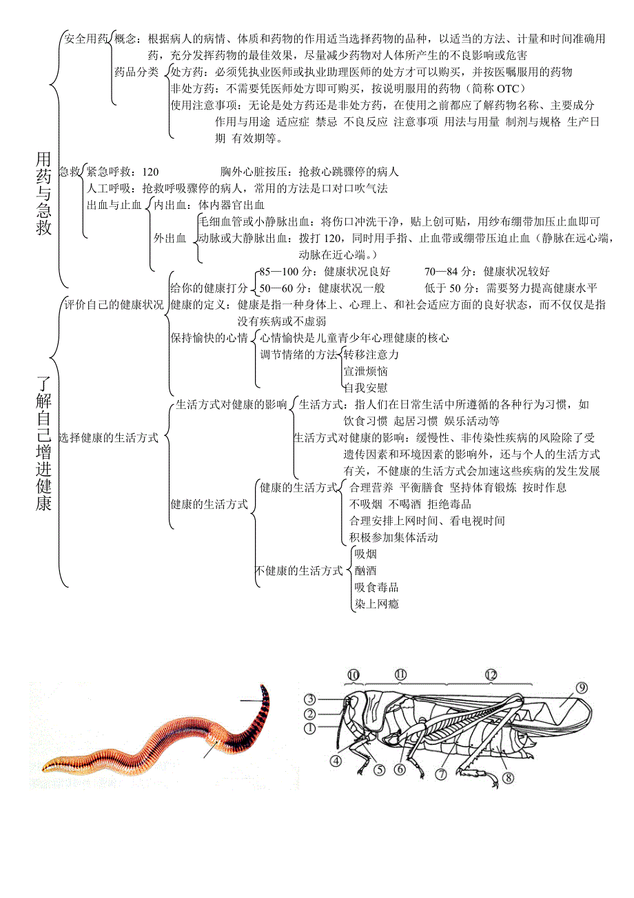 八年级生物知识思维导图整理.doc_第3页