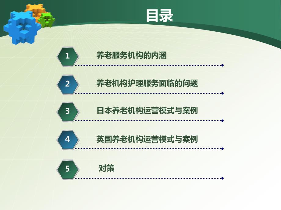 养老机构护理服务.ppt_第2页