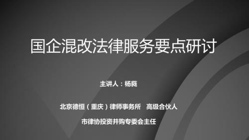 国企混改法律服务要点研讨.ppt