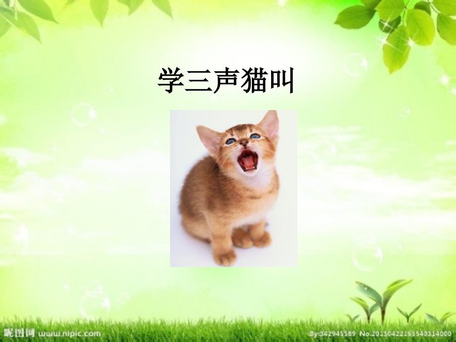 勇敢向前六年级生命生态安全.ppt_第3页