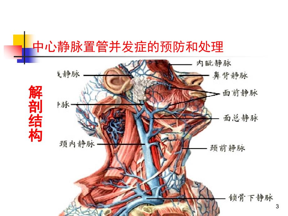 中心静脉置管并发症预防及处理.PPT.ppt_第3页