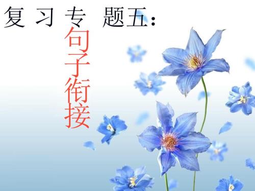 人教课标版九年级语文中考复习中考复习之句子衔接ppt课件.ppt