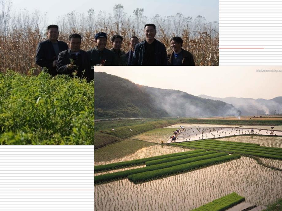 农村土地流转PPT课件.ppt_第3页