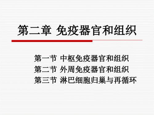 免疫组织和器官.ppt