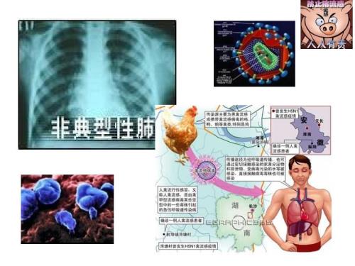 传染病防控健康知识讲座.ppt