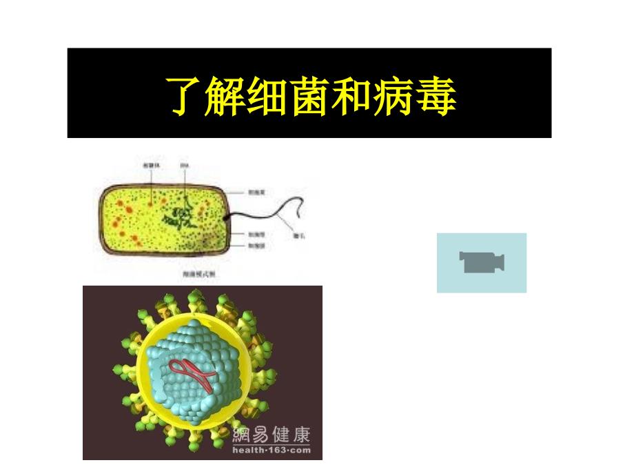 传染病防控健康知识讲座.ppt_第2页