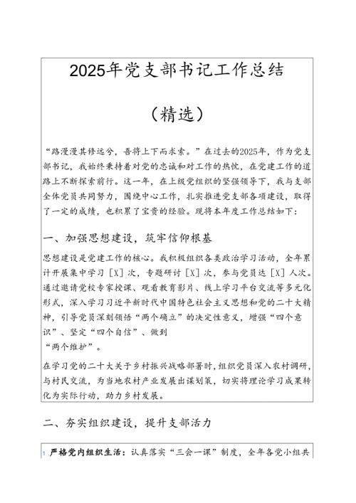 2025年党支部书记工作总结（精选）.docx