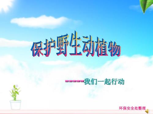 保护野生动物维护生态平衡宣传幻灯片.ppt