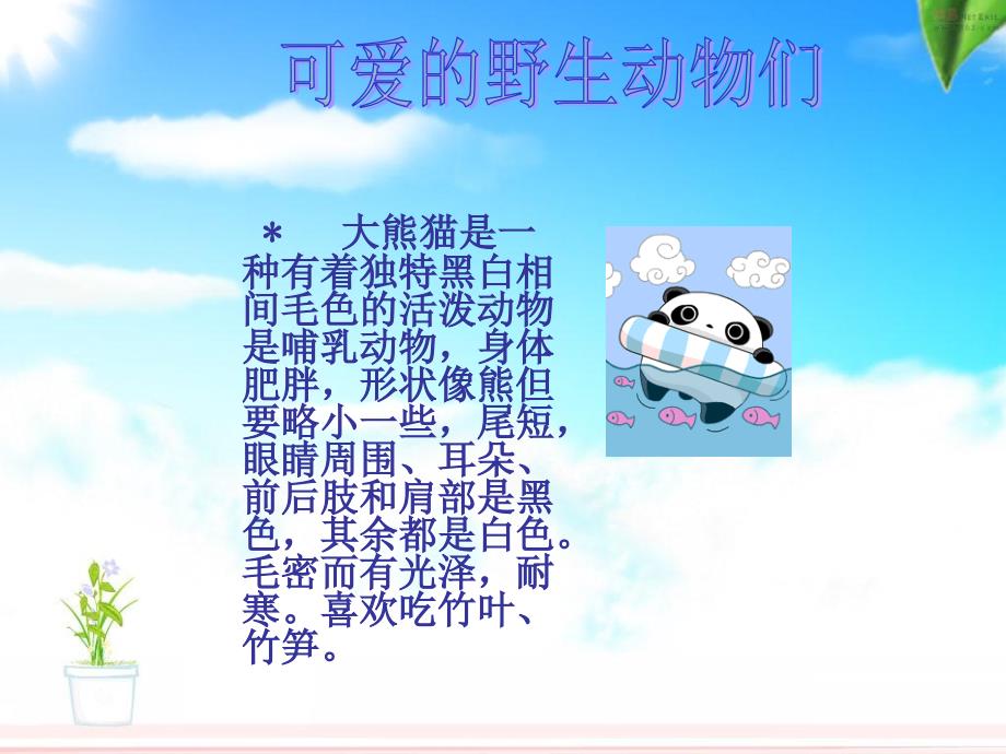 保护野生动物维护生态平衡宣传幻灯片.ppt_第2页