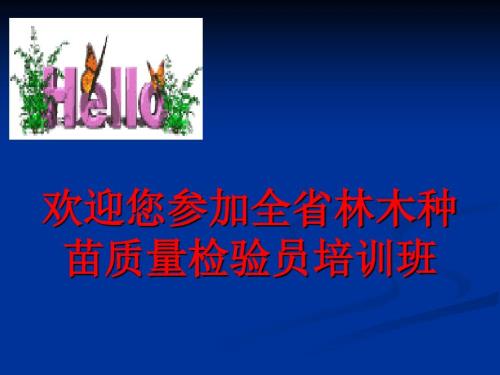 主要造林树种苗木质量分级.ppt