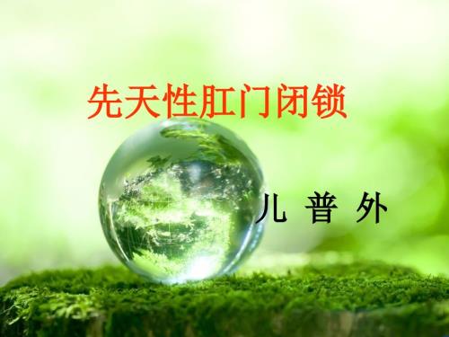 先天性肛门闭锁ppt课件.pptx
