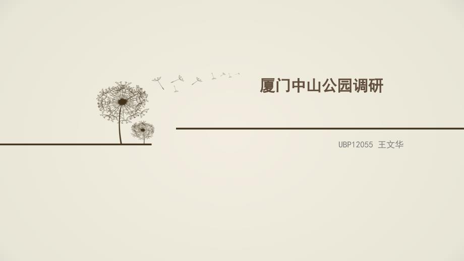 厦门中山公园调研.ppt_第1页