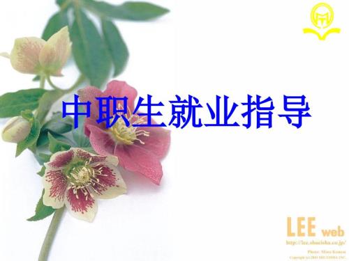 中职就业指导课件1.ppt