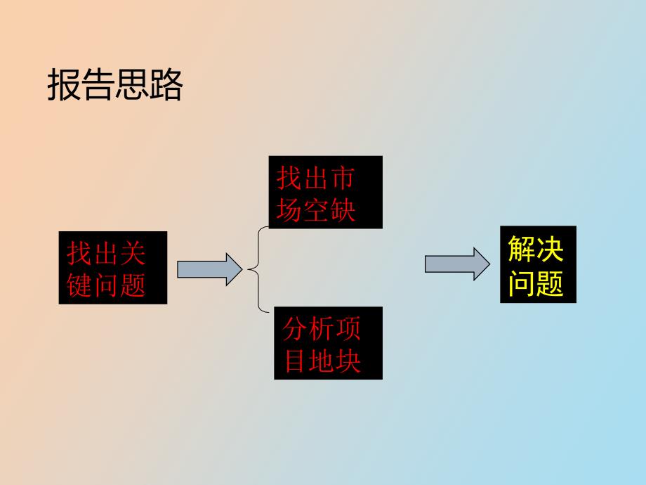 大厂商业项目运营思路报告终.ppt_第2页