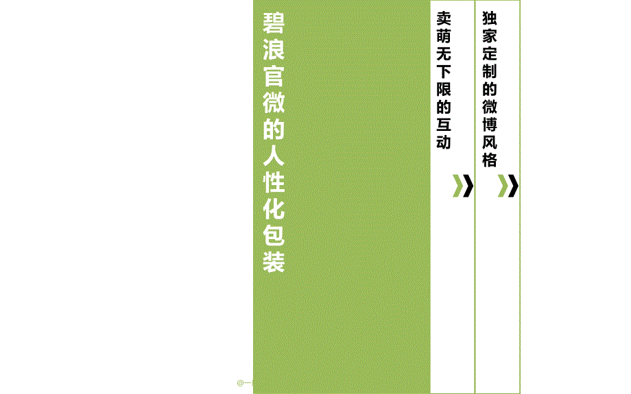 中国十大微博营销成功案例盘点碧浪.pptx_第2页