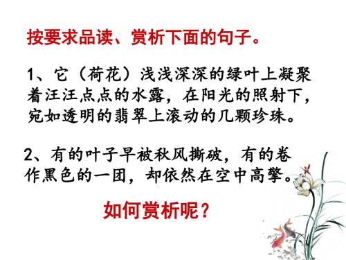 初中中考语文语句赏析专题讲解.ppt