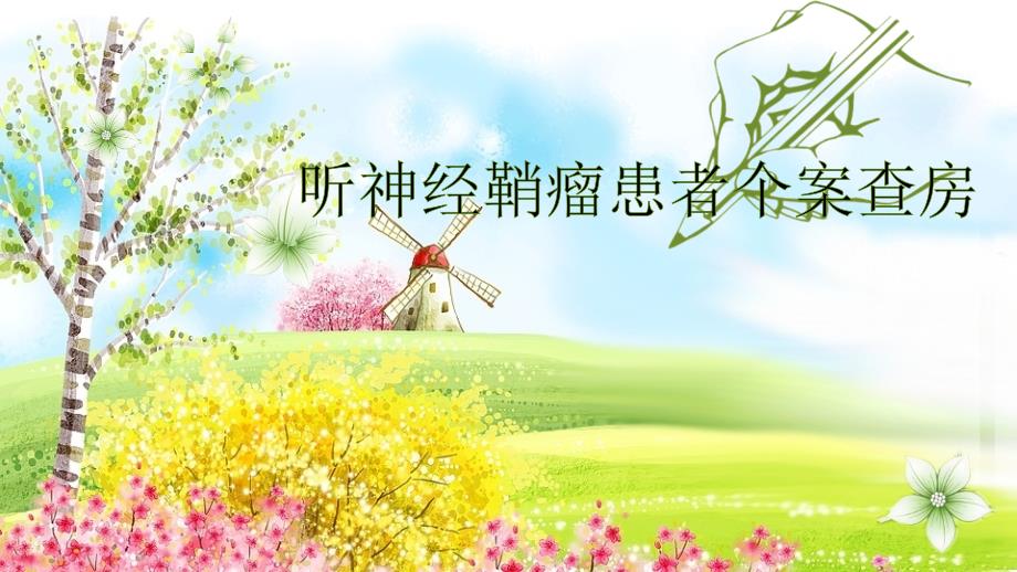 听神经鞘瘤个案查房.pptx_第1页