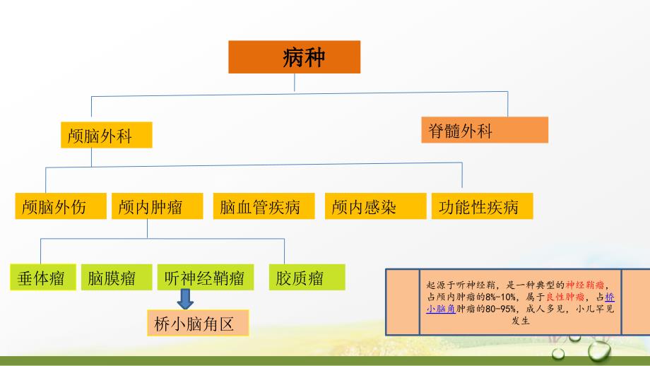 听神经鞘瘤个案查房.pptx_第2页
