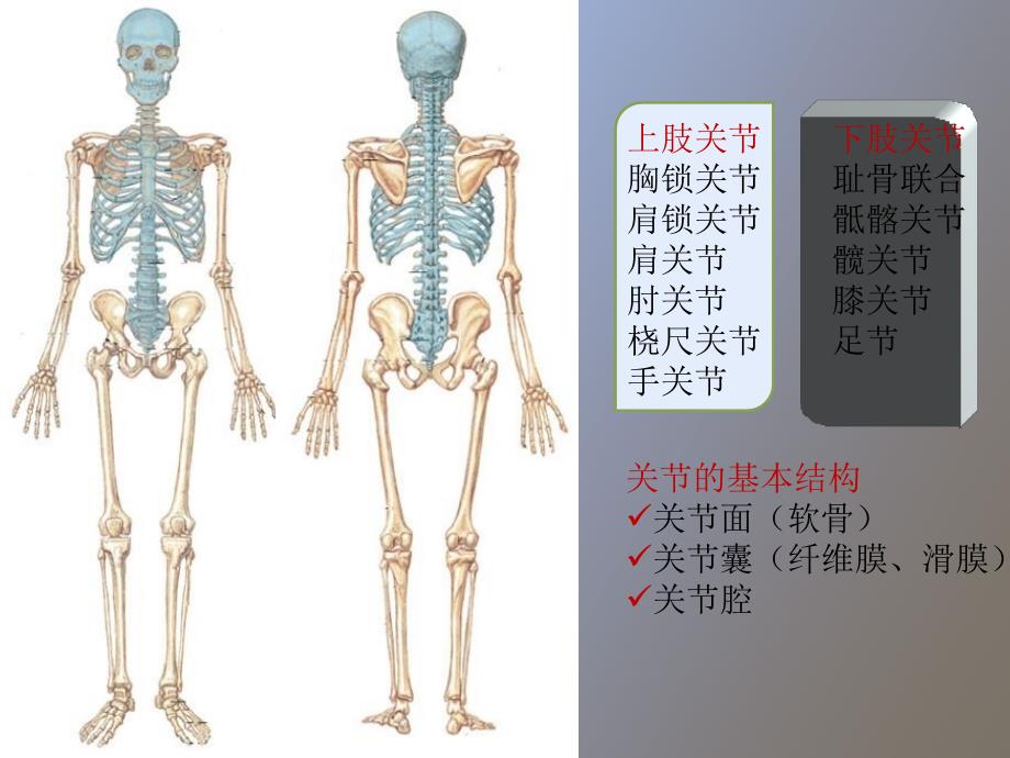 关节炎的鉴别诊断.ppt_第2页