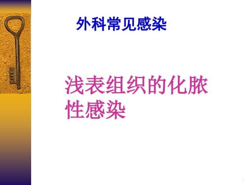外科感染概述及软组织感染PPT演示课件.ppt