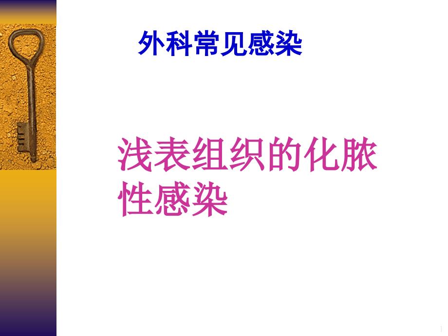 外科感染概述及软组织感染PPT演示课件.ppt_第1页