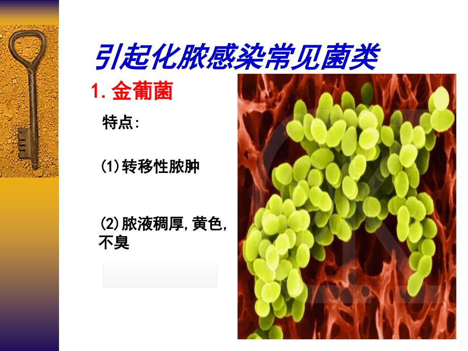 外科感染概述及软组织感染PPT演示课件.ppt_第3页