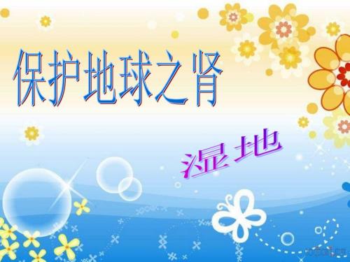 地球之肾湿地PPT课件.ppt