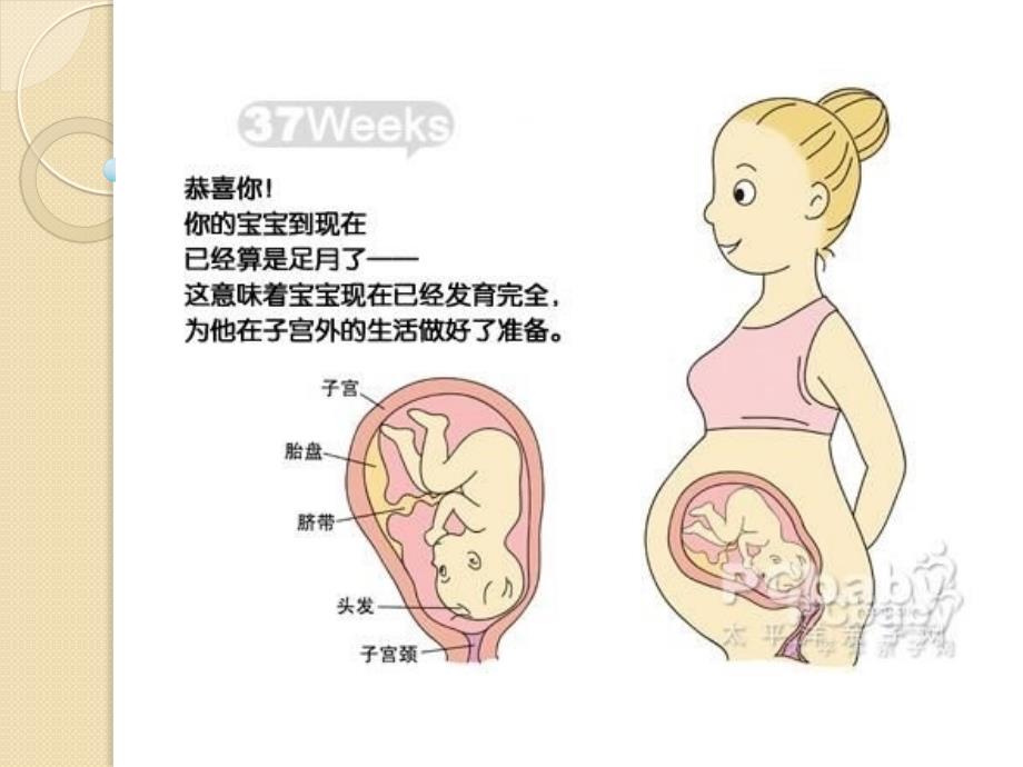 导乐分娩PPT课件.ppt_第2页