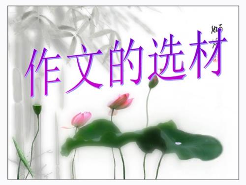 围绕中心选材PPT课件.ppt