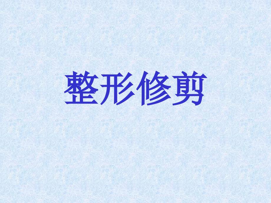 园林树木整形修剪PPT课件.ppt_第1页