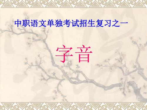 中职对口升学复习一语音课件.ppt