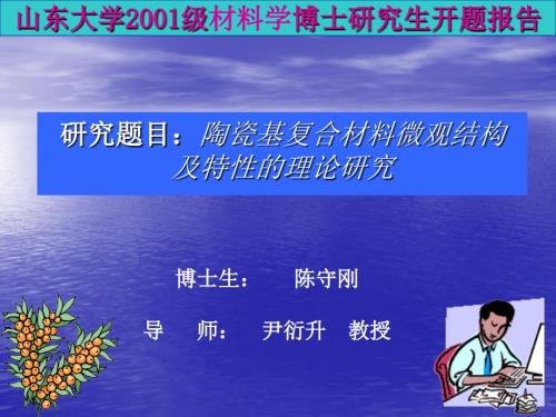 博士研究生开题报告.ppt