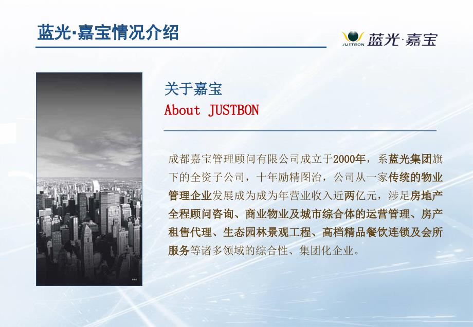 四物业经营策划与市场策略.ppt_第2页