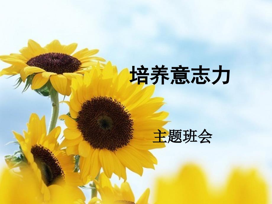 培养意志力主题班会课件.ppt_第1页