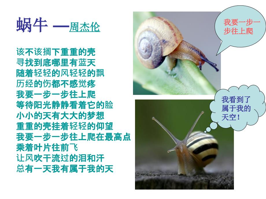 培养意志力主题班会课件.ppt_第3页