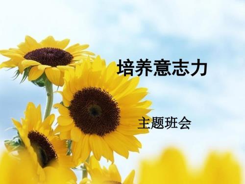 培养意志力主题班会课件.ppt