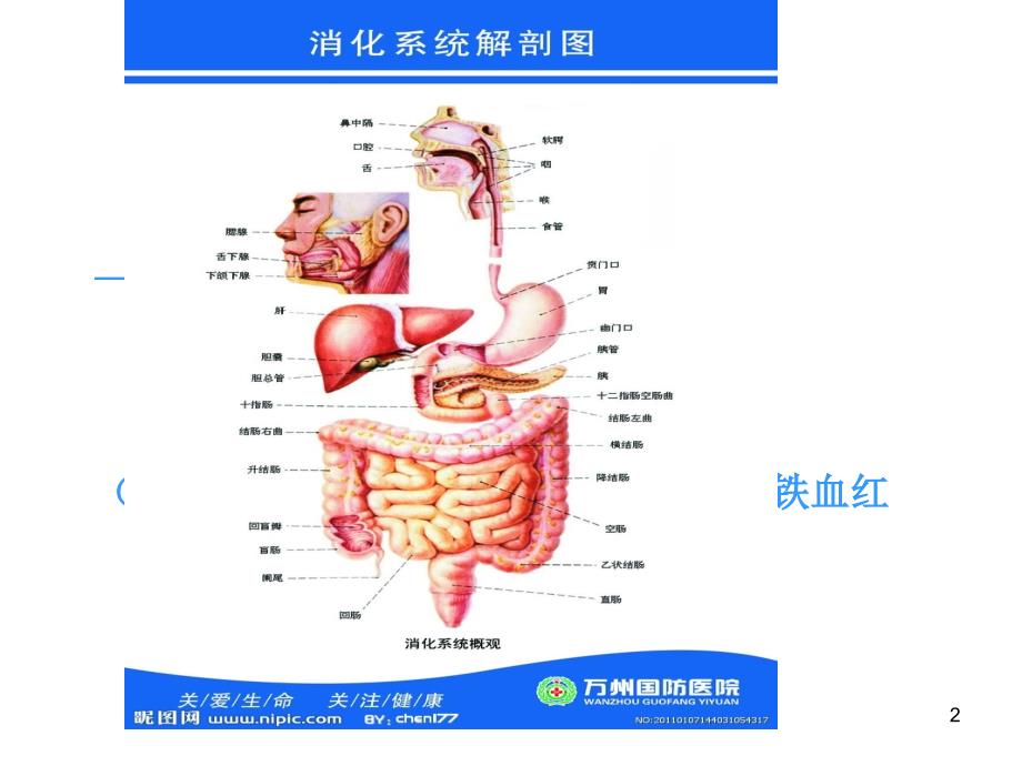 呕血与黑便PPT课件.ppt_第2页