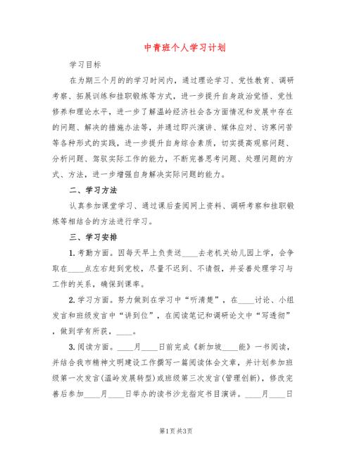中青班个人学习计划2篇.doc