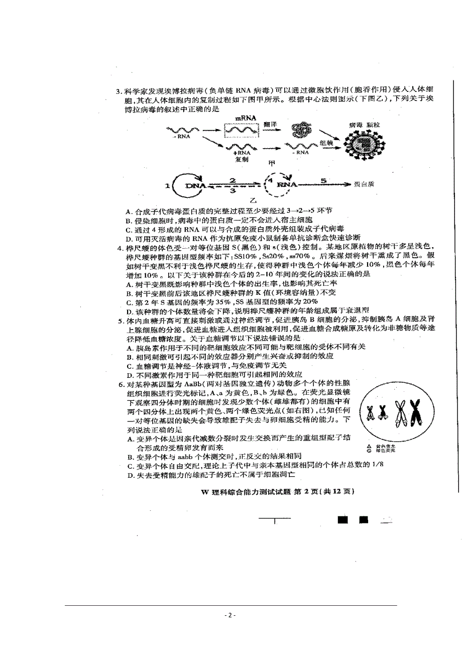 安徽省江南十校高三3月联考理科综合试题及答案.doc_第2页