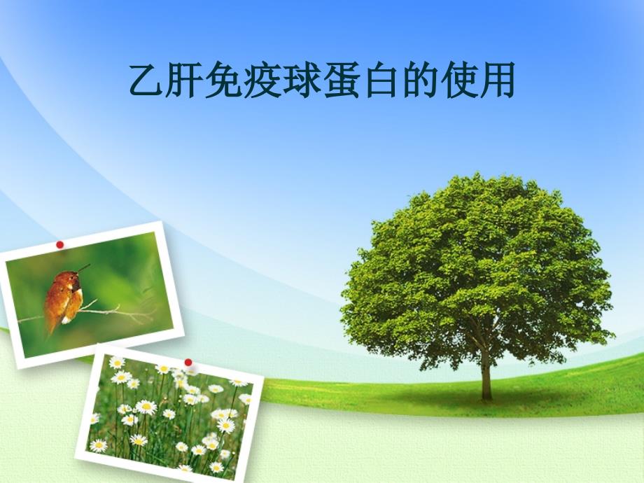 乙肝免疫球蛋白的使用课件.ppt_第1页