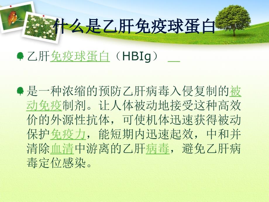 乙肝免疫球蛋白的使用课件.ppt_第2页
