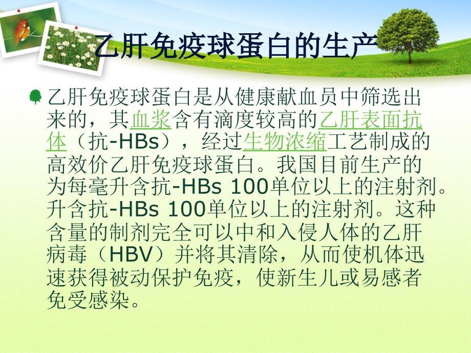 乙肝免疫球蛋白的使用课件.ppt_第3页