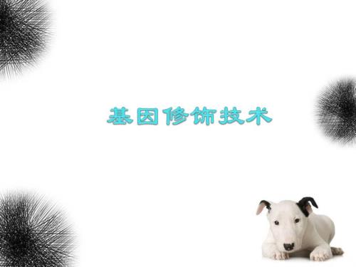 基因敲除新技术PPT课件.ppt