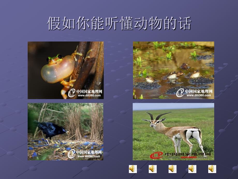 假如你能听懂动物的话.ppt_第1页