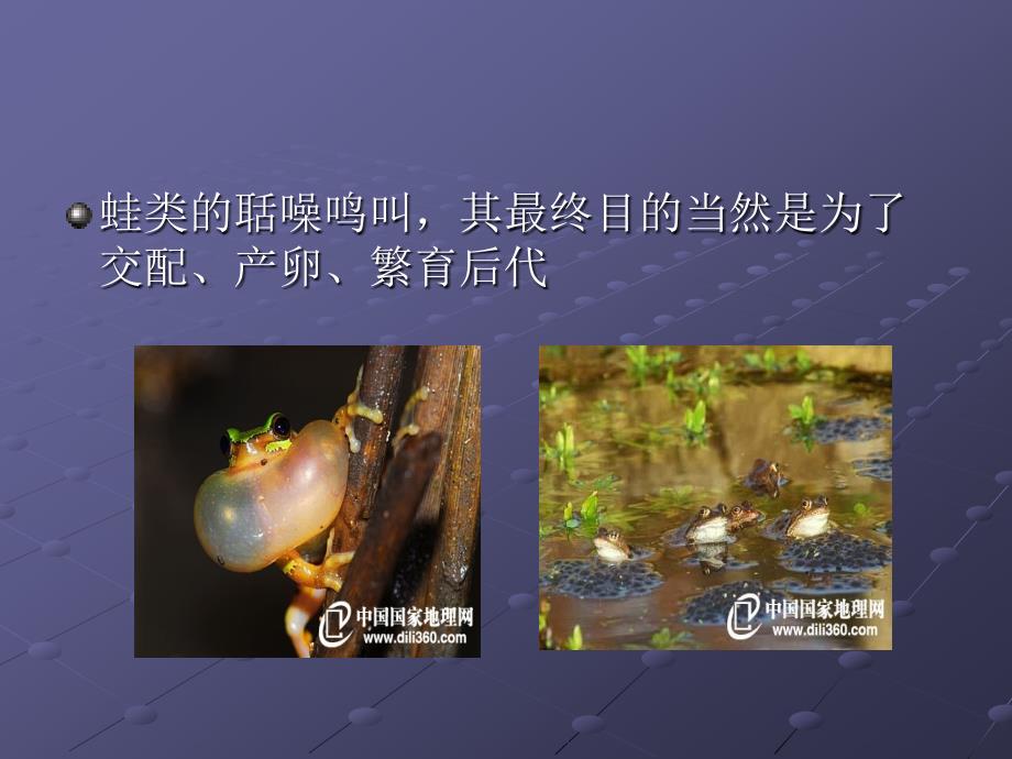 假如你能听懂动物的话.ppt_第2页