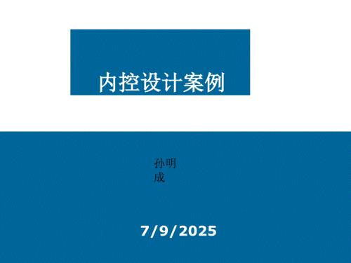 乐凯内控设计案例.ppt