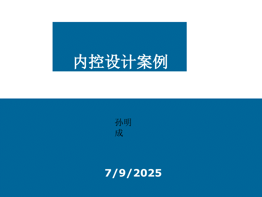 乐凯内控设计案例.ppt_第1页