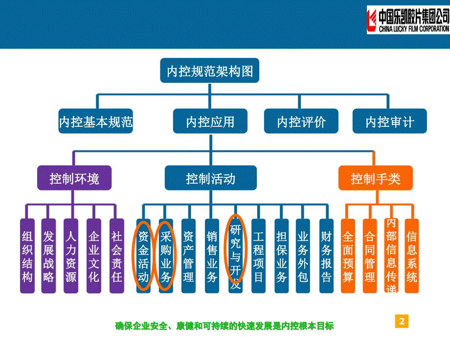 乐凯内控设计案例.ppt_第2页