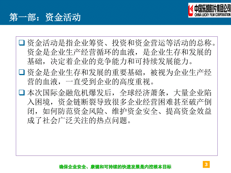 乐凯内控设计案例.ppt_第3页