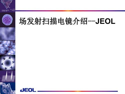 场发射扫描电镜介绍课件.ppt